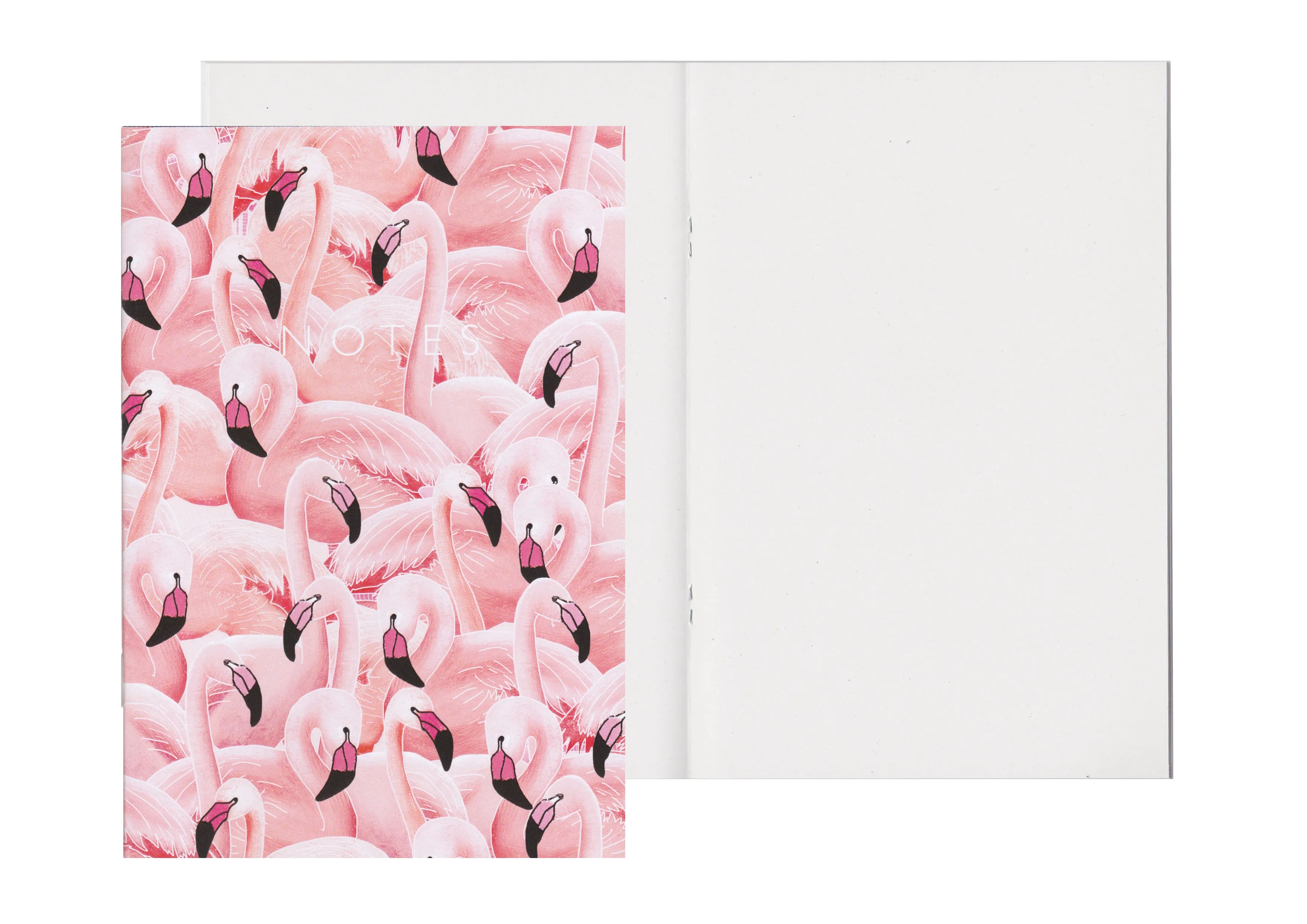 A Flamboyance of Flamingos - A5 Notebook