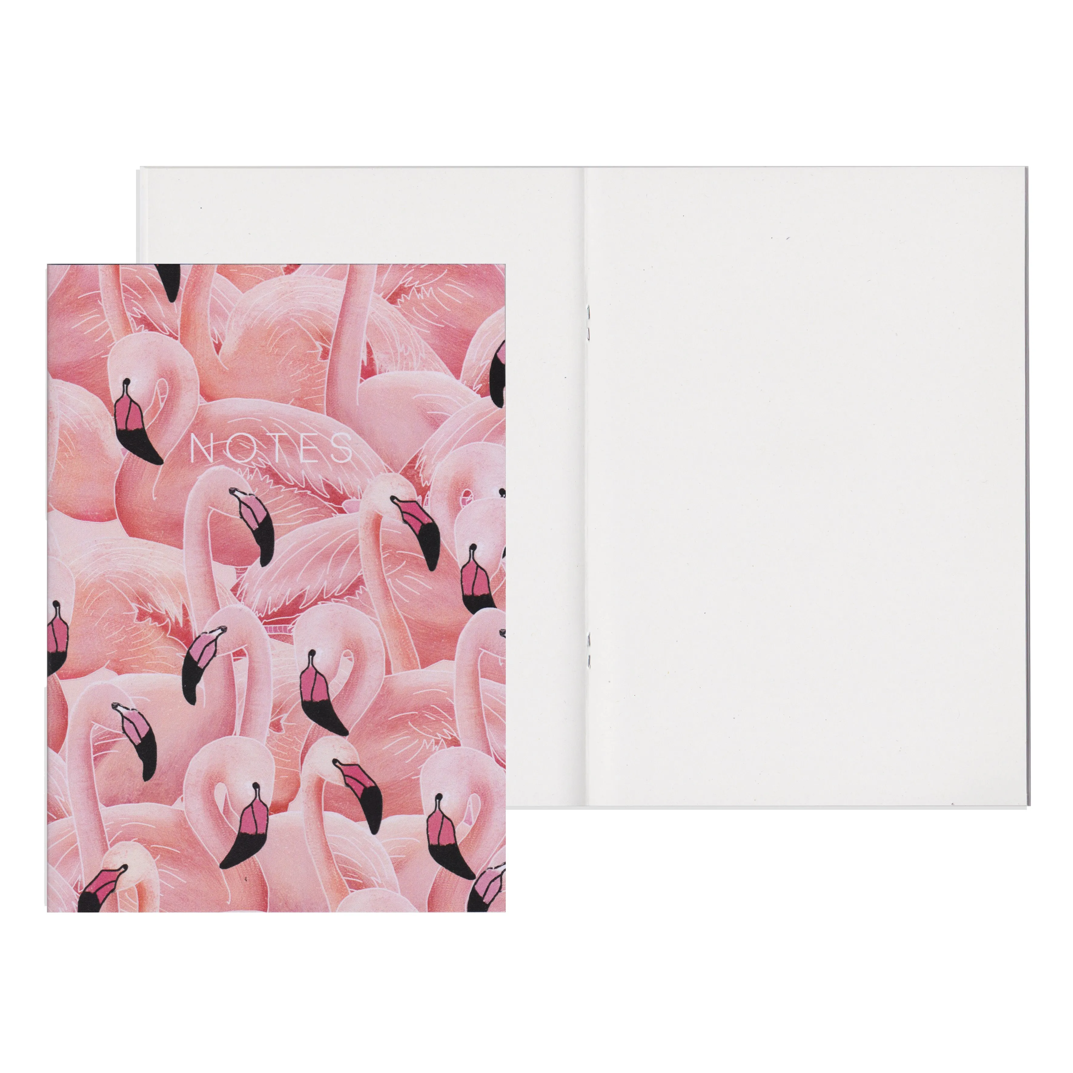 A Flamboyance of Flamingos - Mini Notebook