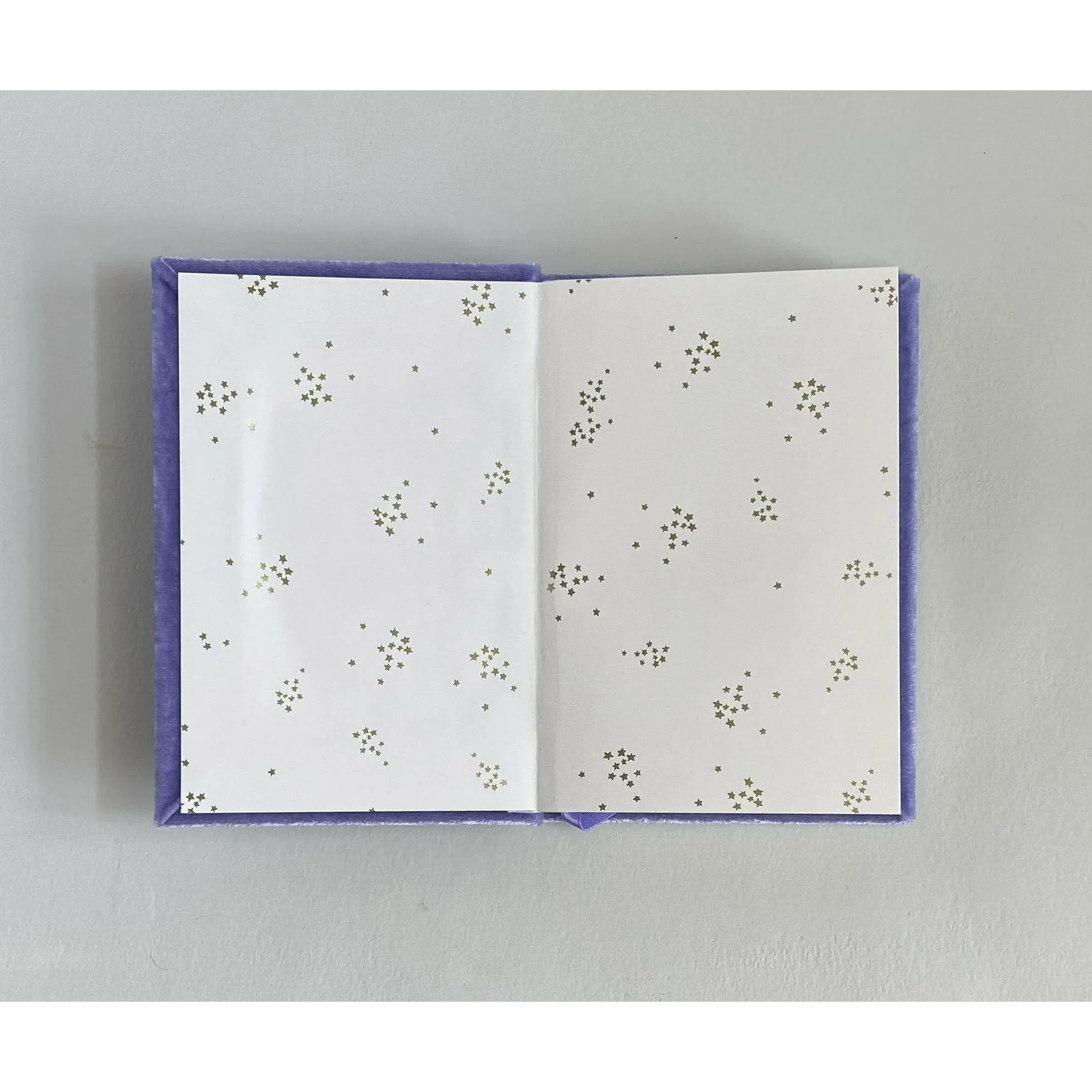 Best Day Ever Soft Velvet-Covered Notebook with Lined Pages