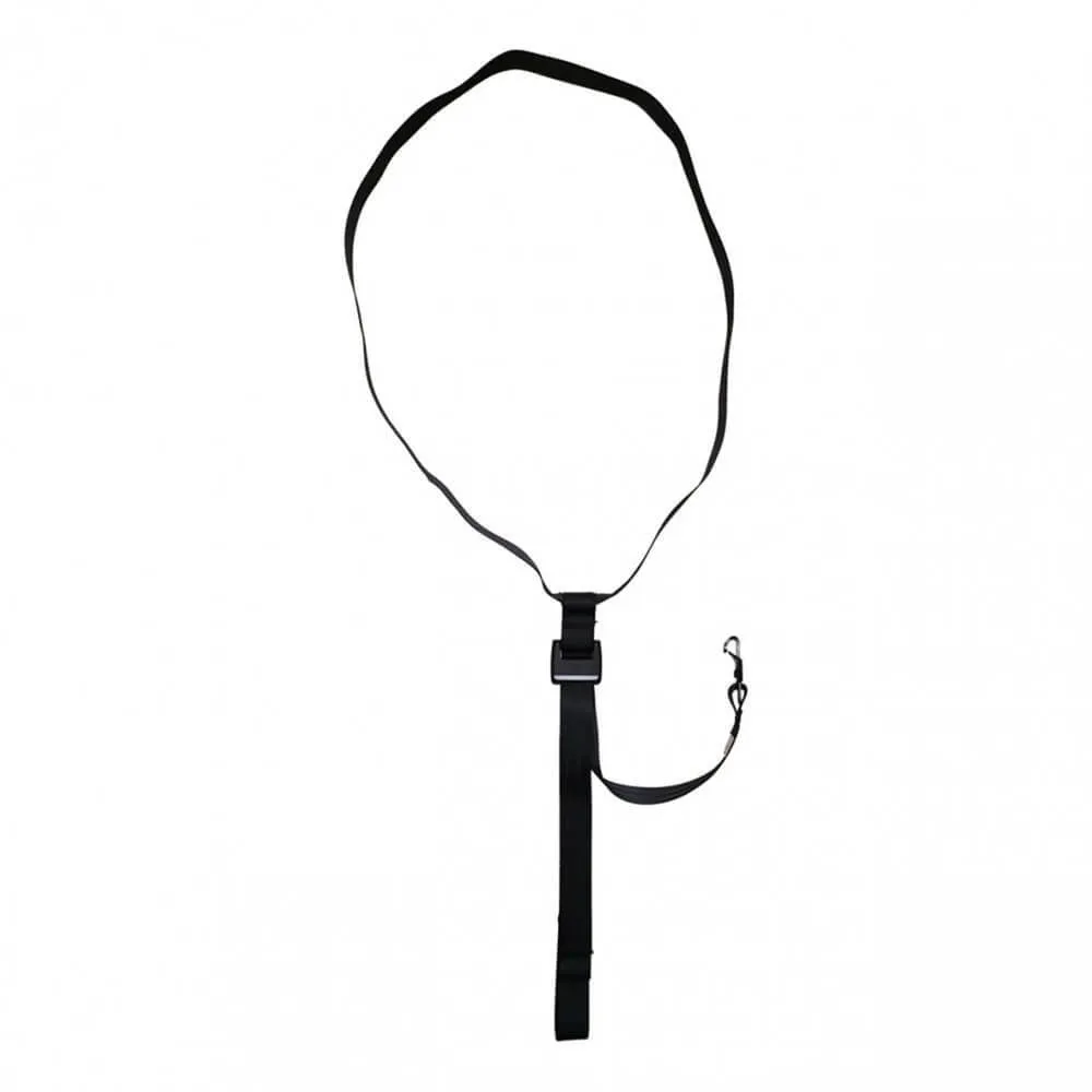 Britax Safe-n-Sound Unity Tether Strap