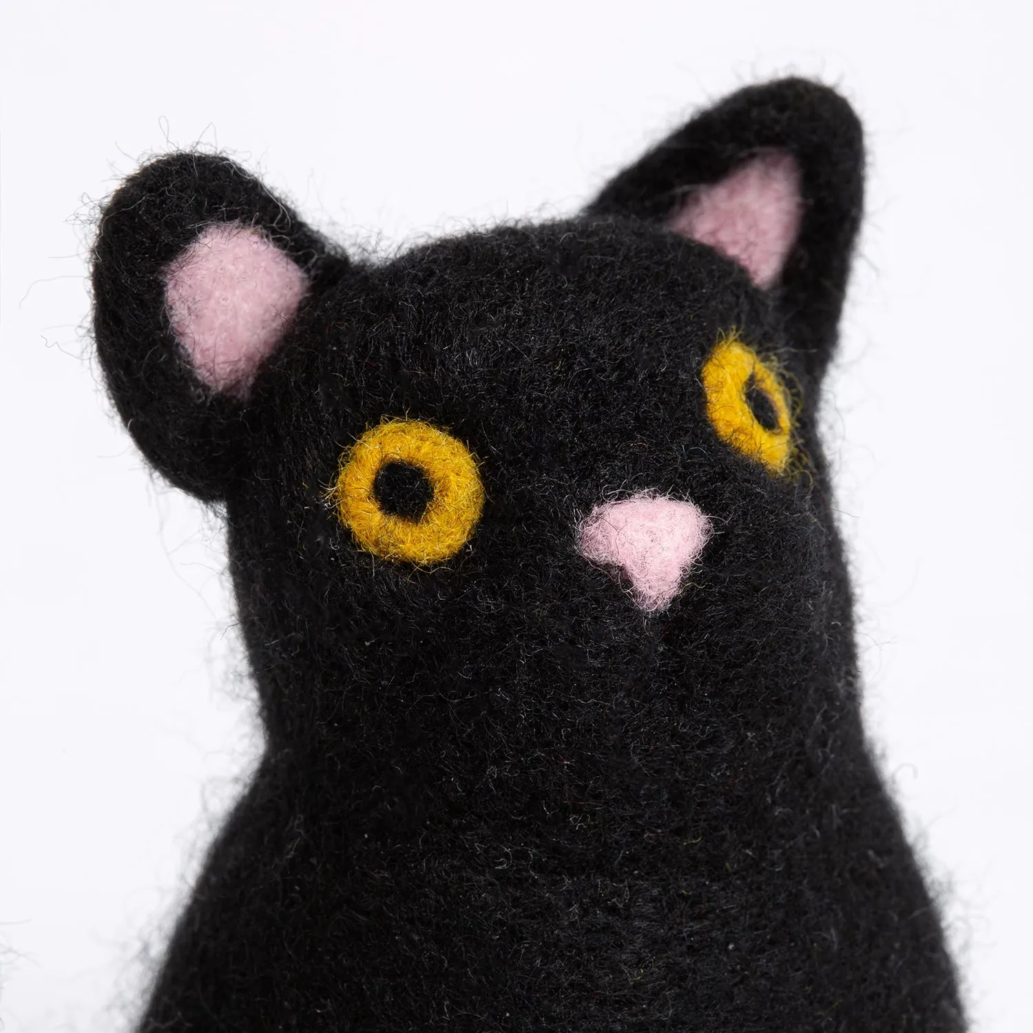 Halloween Cat Needle Felting Kit