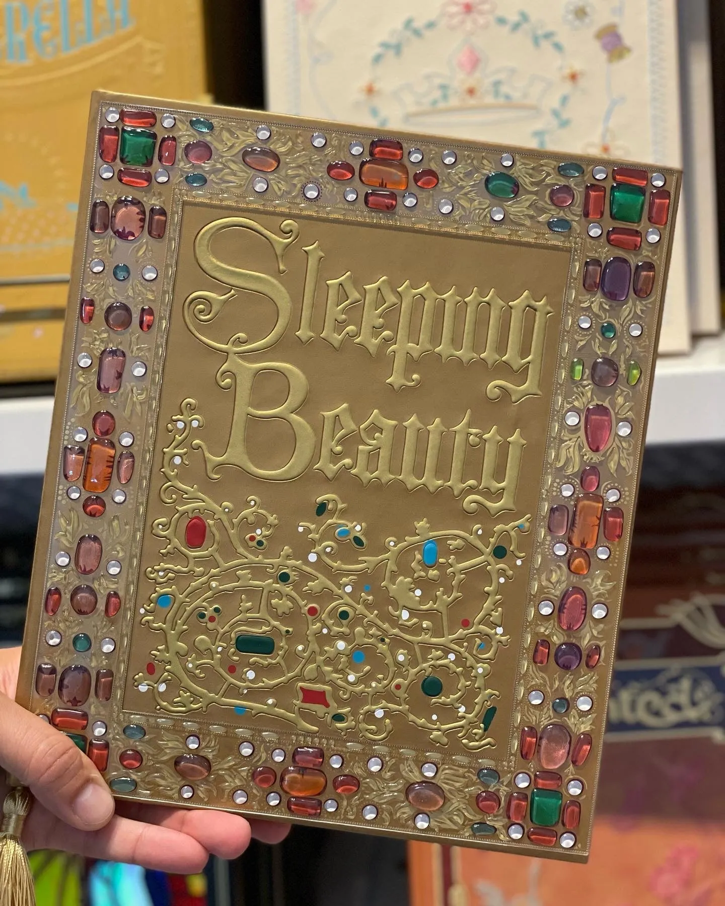 Sleeping Beauty Journal