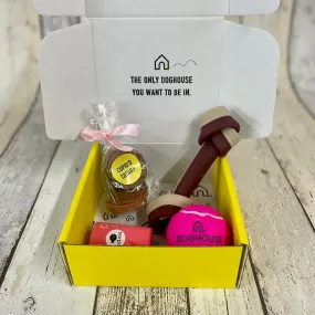 Wedding Gift Box for Dogs